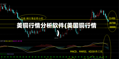 美铜行情分析软件(美国铜行情)-第3张图片