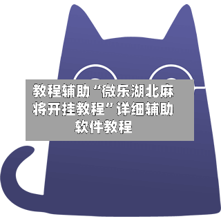 教程辅助“微乐湖北麻将开挂教程”详细辅助软件教程-第3张图片