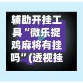 辅助开挂工具“微乐捉鸡麻将有挂吗”(透视挂)详细用法教程