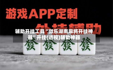 辅助开挂工具“微乐湖南麻将开挂神器”开挂(透视)辅助神器