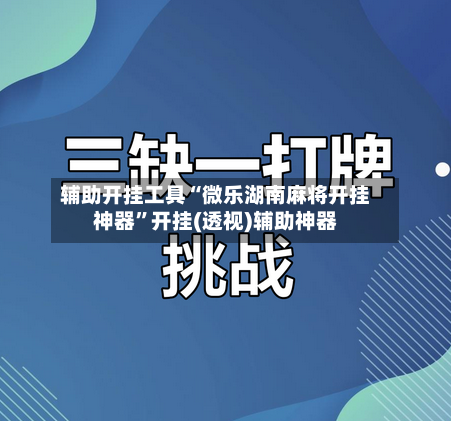辅助开挂工具“微乐湖南麻将开挂神器”开挂(透视)辅助神器-第2张图片