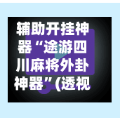 辅助开挂神器“途游四川麻将外卦神器”(透视)其实确实有挂-第2张图片