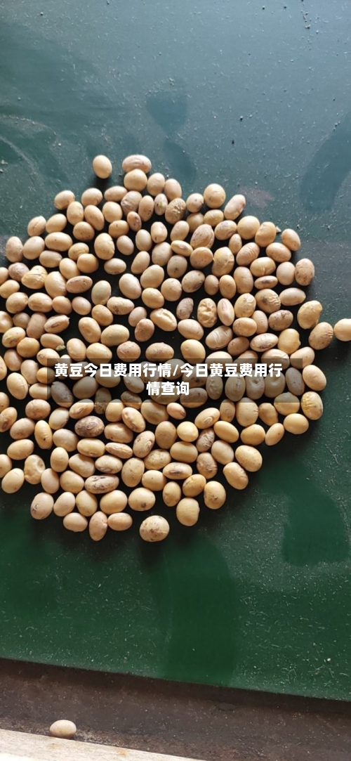 黄豆今日费用行情/今日黄豆费用行情查询
