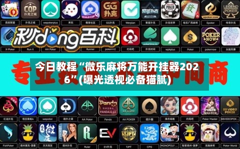 今日教程“微乐麻将万能开挂器2026	”(曝光透视必备猫腻)-第3张图片