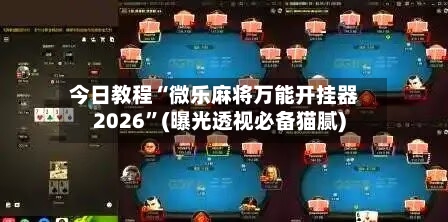 今日教程“微乐麻将万能开挂器2026”(曝光透视必备猫腻)-第2张图片