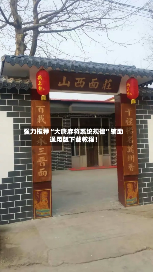 强力推荐“大唐麻将系统规律”辅助通用版下载教程！-第3张图片