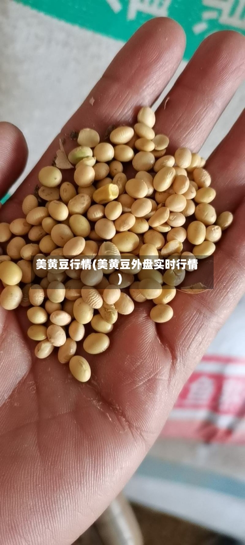 美黄豆行情(美黄豆外盘实时行情)