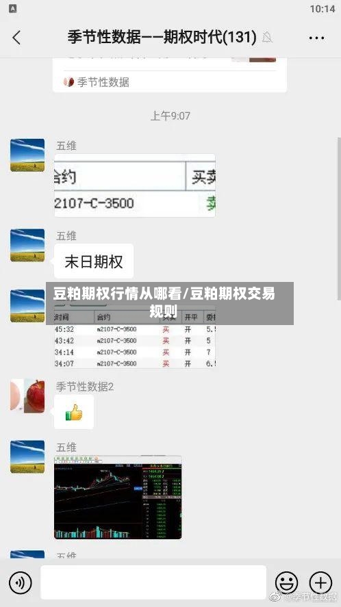 豆粕期权行情从哪看/豆粕期权交易规则