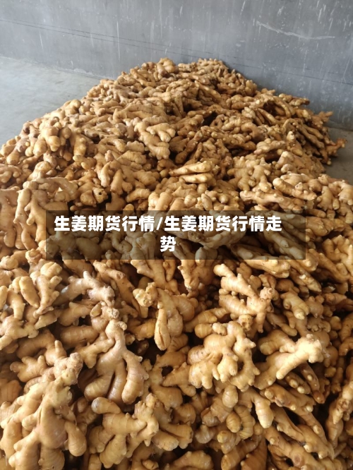 生姜期货行情/生姜期货行情走势
