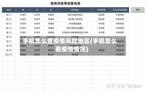 手机怎么查疫情风险地区(手机怎么看疫情情况)
