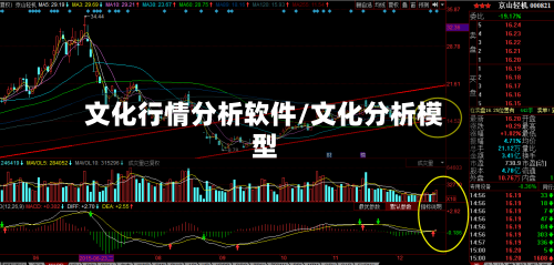 文化行情分析软件/文化分析模型-第2张图片