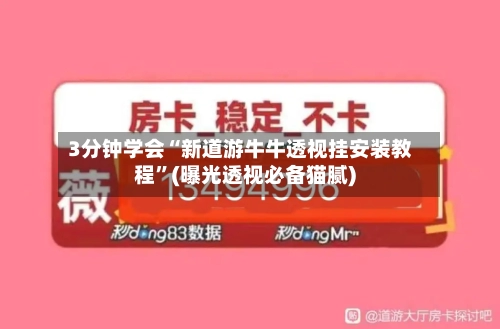 3分钟学会“新道游牛牛透视挂安装教程”(曝光透视必备猫腻)