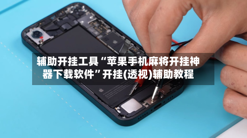 辅助开挂工具“苹果手机麻将开挂神器下载软件	”开挂(透视)辅助教程-第3张图片