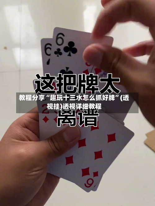 教程分享“趣玩十三水怎么抓好牌	”(透视挂)透视详细教程-第3张图片
