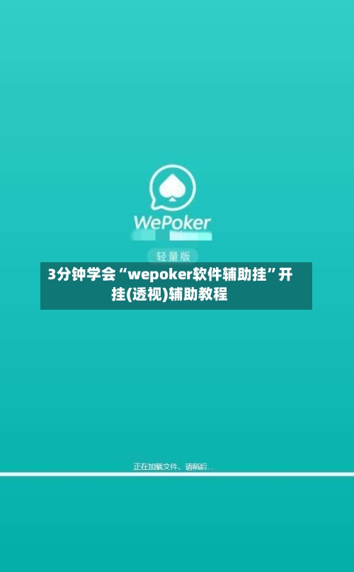 3分钟学会“wepoker软件辅助挂”开挂(透视)辅助教程-第2张图片