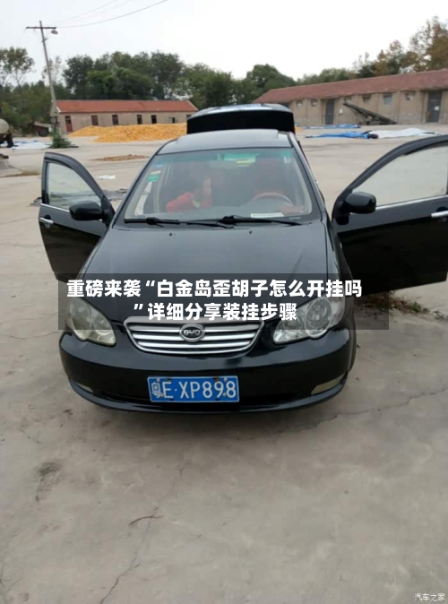 重磅来袭“白金岛歪胡子怎么开挂吗	”详细分享装挂步骤-第2张图片
