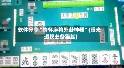软件分享“情怀麻将外卦神器”(曝光透视必备猫腻)-第3张图片