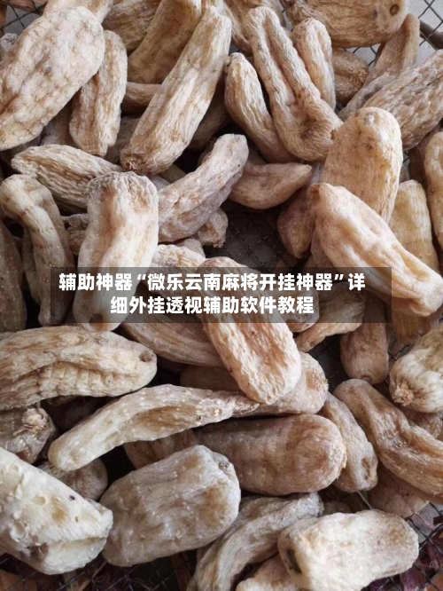 辅助神器“微乐云南麻将开挂神器”详细外挂透视辅助软件教程-第3张图片