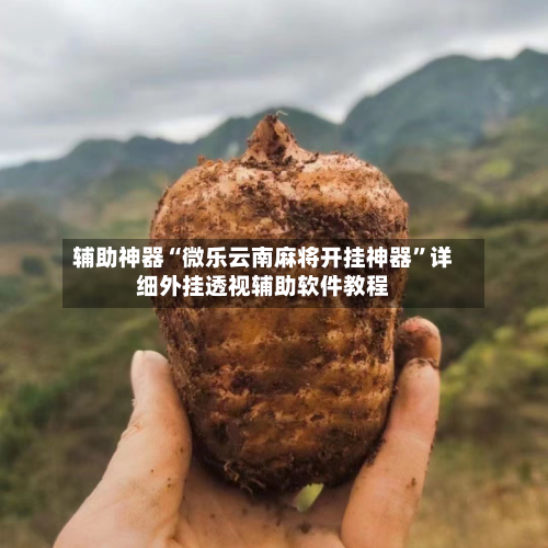 辅助神器“微乐云南麻将开挂神器”详细外挂透视辅助软件教程-第2张图片