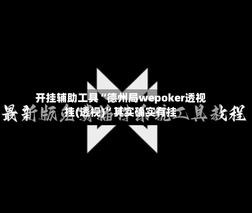 开挂辅助工具“德州局wepoker透视挂(透视)	”其实确实有挂-第3张图片