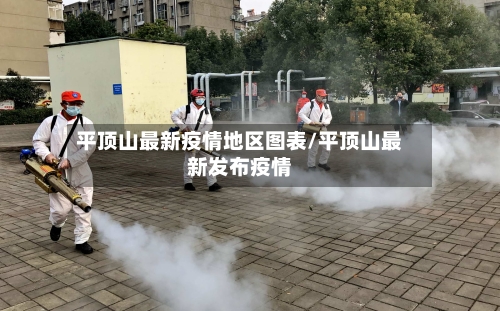 平顶山最新疫情地区图表/平顶山最新发布疫情-第3张图片