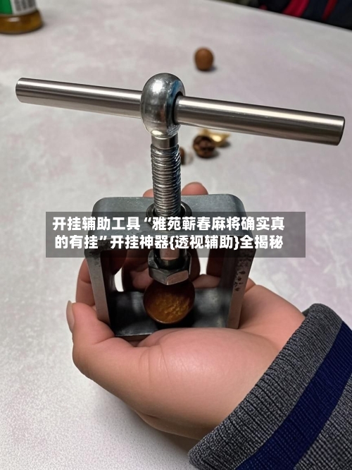 开挂辅助工具“雅苑蕲春麻将确实真的有挂	”开挂神器{透视辅助}全揭秘-第2张图片