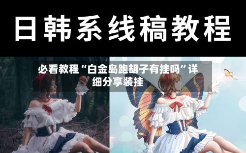 必看教程“白金岛跑胡子有挂吗”详细分享装挂-第2张图片