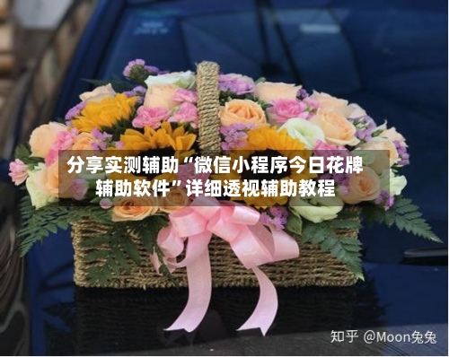 分享实测辅助“微信小程序今日花牌辅助软件”详细透视辅助教程