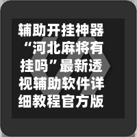 辅助开挂神器“河北麻将有挂吗”最新透视辅助软件详细教程官方版下载