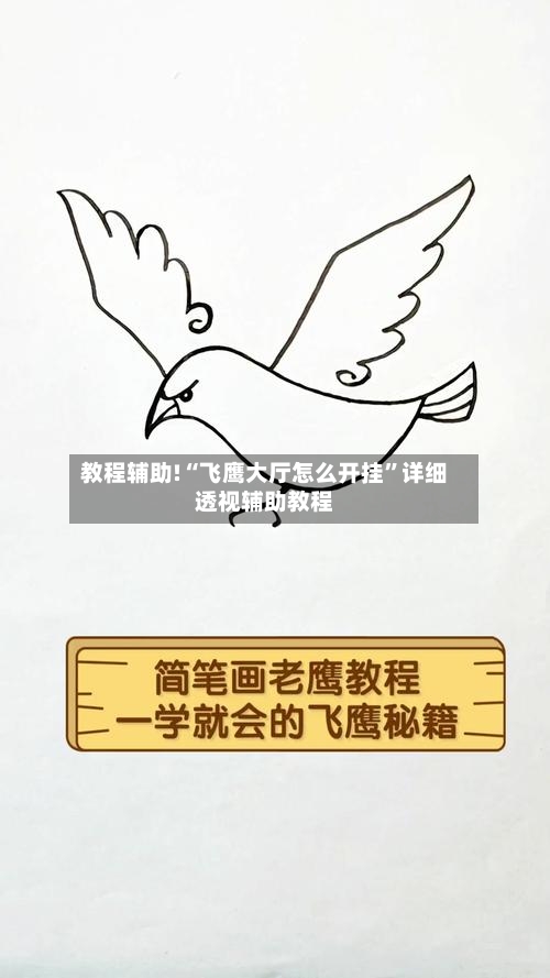 教程辅助!“飞鹰大厅怎么开挂”详细透视辅助教程-第2张图片