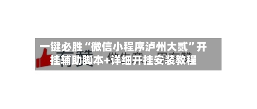 一键必胜“微信小程序泸州大贰	”开挂辅助脚本+详细开挂安装教程-第2张图片