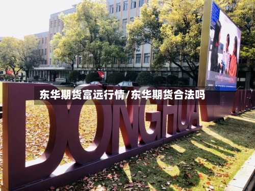 东华期货富远行情/东华期货合法吗