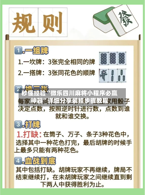 秒懂经验“微乐四川麻将小程序必赢神器”详细分享装挂步骤教程
