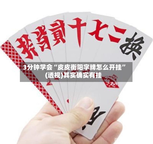 3分钟学会“皮皮衡阳字牌怎么开挂”(透视)其实确实有挂-第2张图片