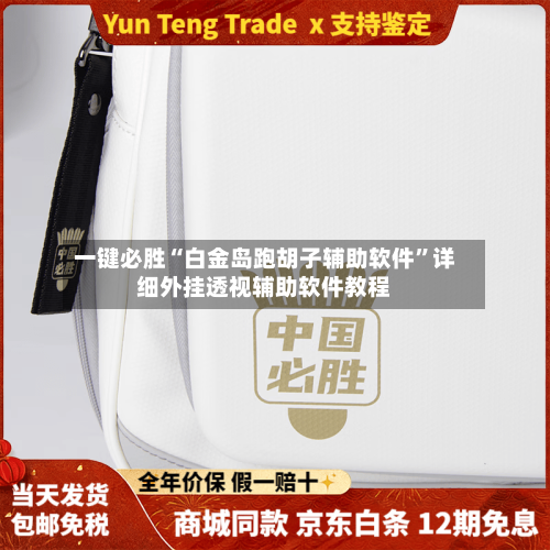 一键必胜“白金岛跑胡子辅助软件”详细外挂透视辅助软件教程-第3张图片