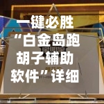 一键必胜“白金岛跑胡子辅助软件”详细外挂透视辅助软件教程-第2张图片