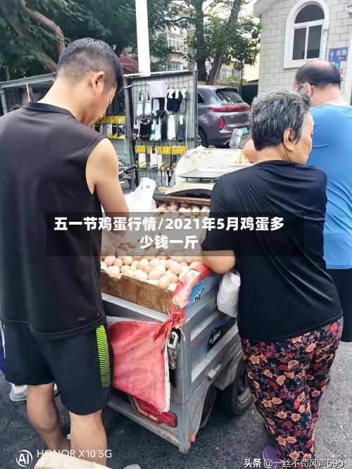 五一节鸡蛋行情/2021年5月鸡蛋多少钱一斤
