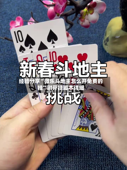 经验分享“微乐斗地主怎么开免费的挂”附开挂脚本详细-第3张图片