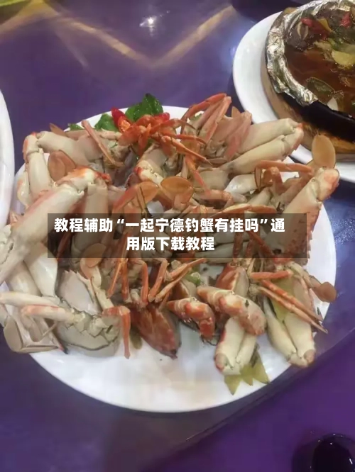 教程辅助“一起宁德钓蟹有挂吗”通用版下载教程
