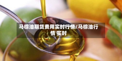 马棕油期货费用实时行情/马棕油行情 实时