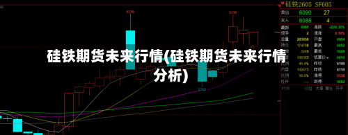 硅铁期货未来行情(硅铁期货未来行情分析)