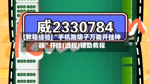 [教程经验]“手机跑胡子万能开挂神器	”开挂(透视)辅助教程-第2张图片