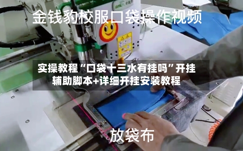 实操教程“口袋十三水有挂吗	”开挂辅助脚本+详细开挂安装教程-第2张图片