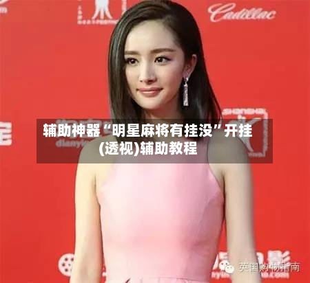 辅助神器“明星麻将有挂没”开挂(透视)辅助教程-第2张图片