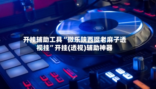 开挂辅助工具“微乐陕西捉老麻子透视挂	”开挂(透视)辅助神器-第2张图片