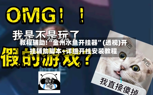 教程辅助!“金州水鱼开挂器”(透视)开挂辅助脚本+详细开挂安装教程-第3张图片
