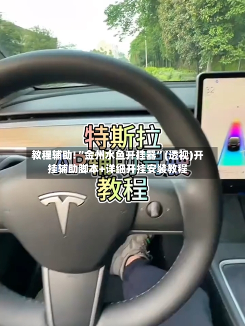教程辅助!“金州水鱼开挂器	”(透视)开挂辅助脚本+详细开挂安装教程-第2张图片