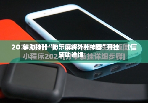 辅助神器“微乐麻将外卦神器”开挂辅助详细