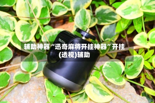辅助神器“迅奇麻将开挂神器”开挂(透视)辅助-第3张图片