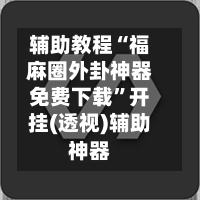 辅助教程“福麻圈外卦神器免费下载”开挂(透视)辅助神器-第3张图片